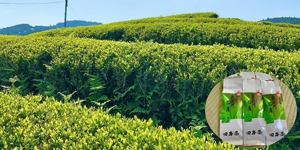 田峯茶