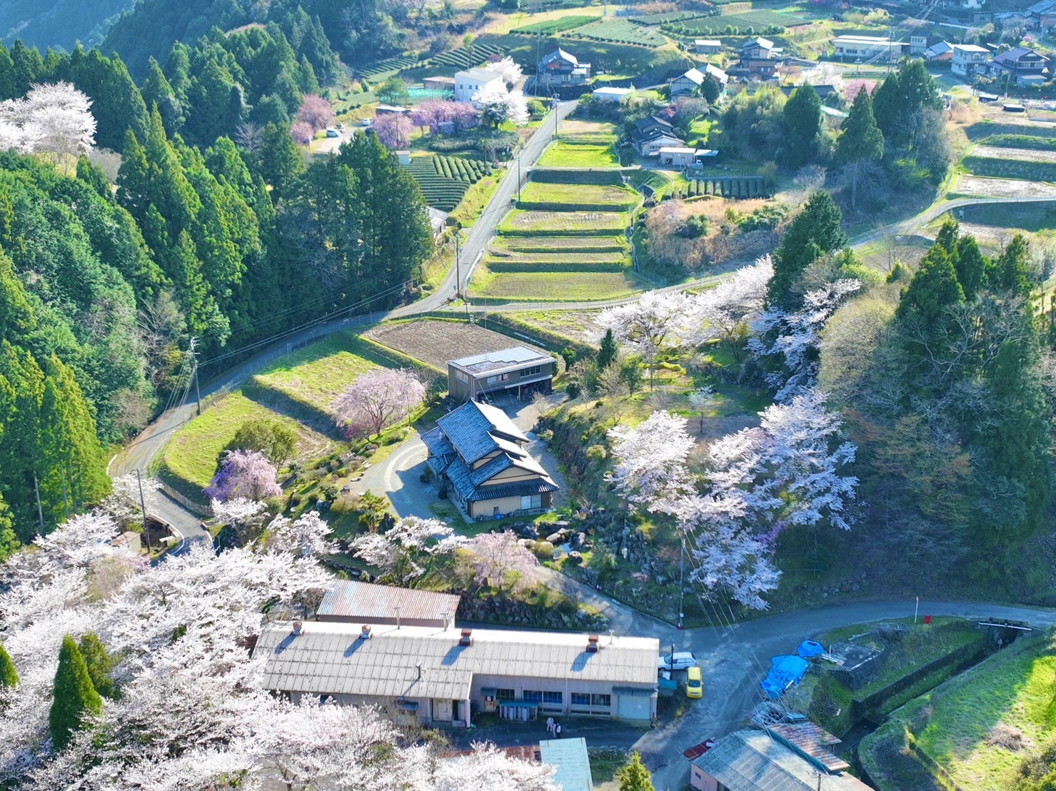 設楽ダム工事現場の様子